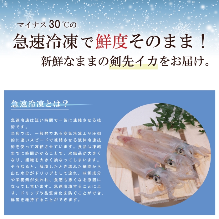 画像に関するテキストをここに記述します。画像に関するテキストをここに記述します。画像に関するテキストをここに記述します。画像に関するテキストをここに記述します。画像に関するテキストをここに記述します。画像に関するテキストをここに記述します。