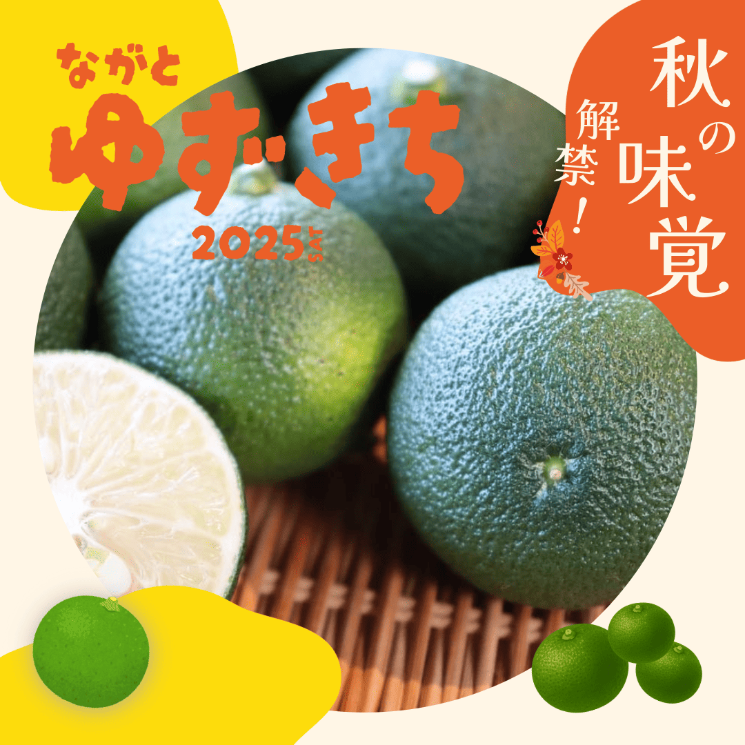 長門ゆずきち 400g（10個前後）:山口県長門市産・旬の香酸柑橘／市場入荷次第、順次発送