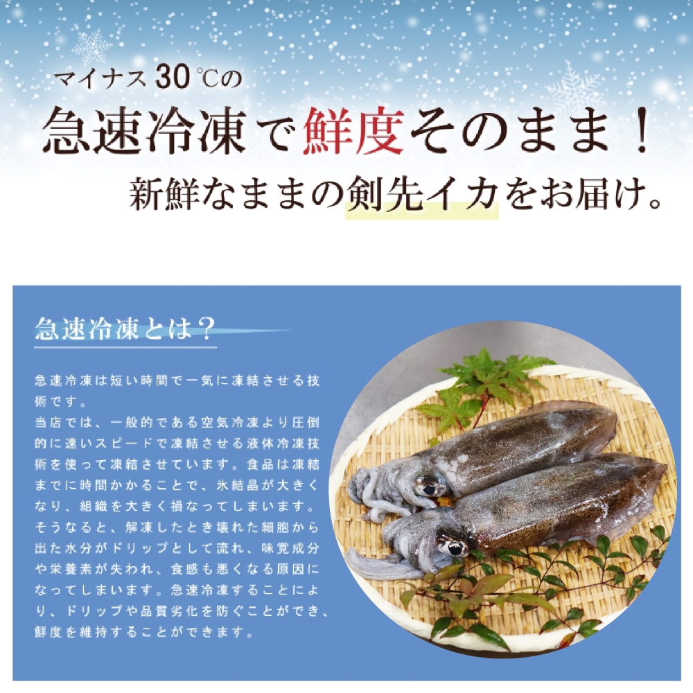 画像に関するテキストをここに記述します。画像に関するテキストをここに記述します。画像に関するテキストをここに記述します。画像に関するテキストをここに記述します。画像に関するテキストをここに記述します。画像に関するテキストをここに記述します。