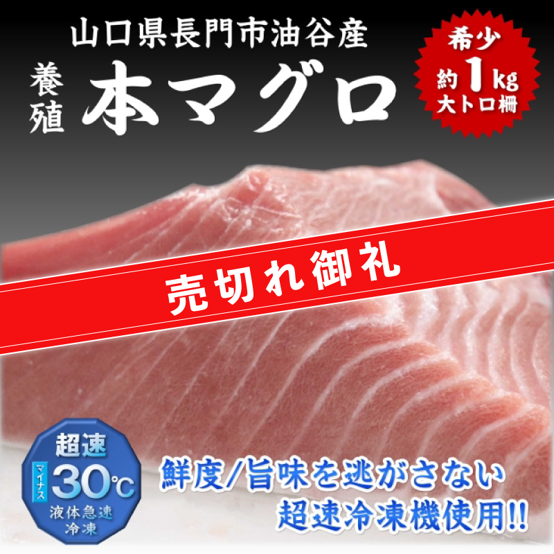 【やまぐちECエール便】長門産養殖 本マグロ 大トロ柵 約1kg