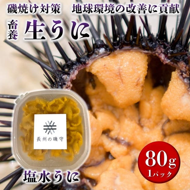 長門市産「長州の磯守」塩水ウニ 80g入パック 保存料不使用