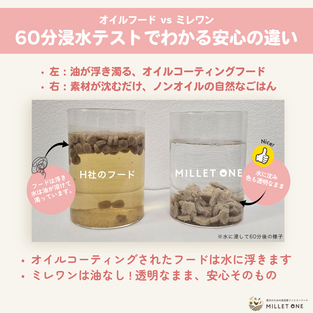 ミレワンフィッシュ 1kg(1歳～シニア) 国産ドッグフード 無添加 ノンオイル 魚