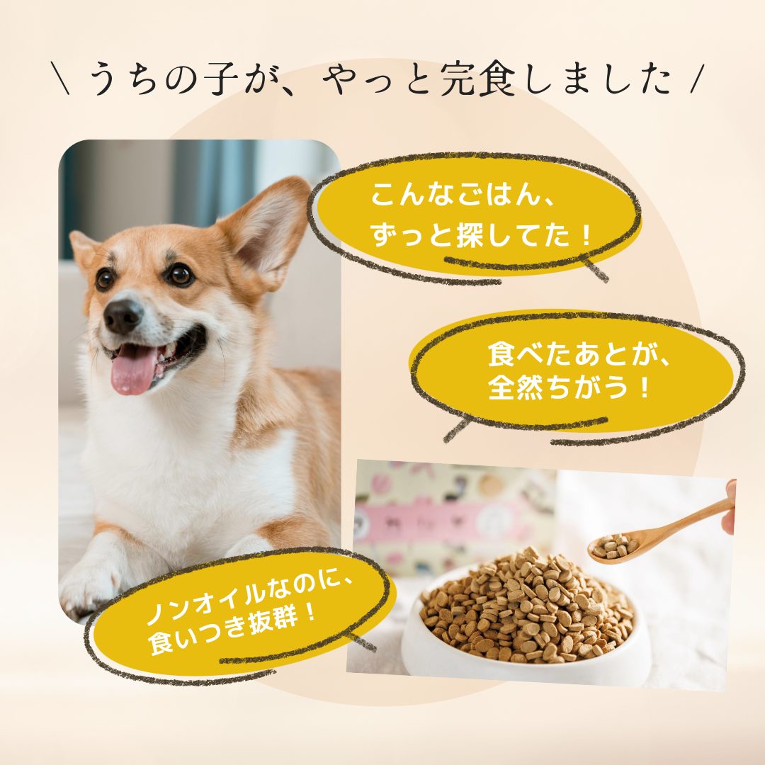 ミレワンフィッシュ 1kg(1歳～シニア) 国産ドッグフード 無添加 ノンオイル 魚
