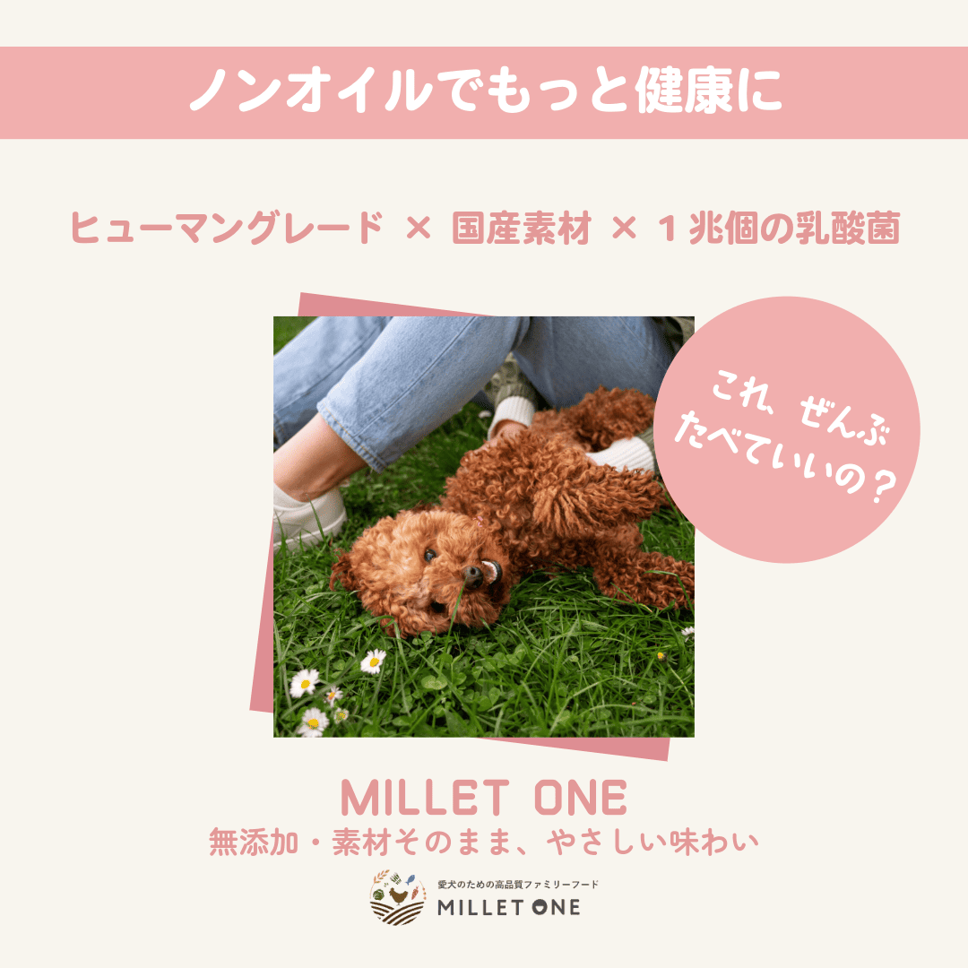 ミレワンミレワン パピー・成犬用 1kg(0歳～6歳) 国産ドッグフード 無添加 ノンオイル チキン