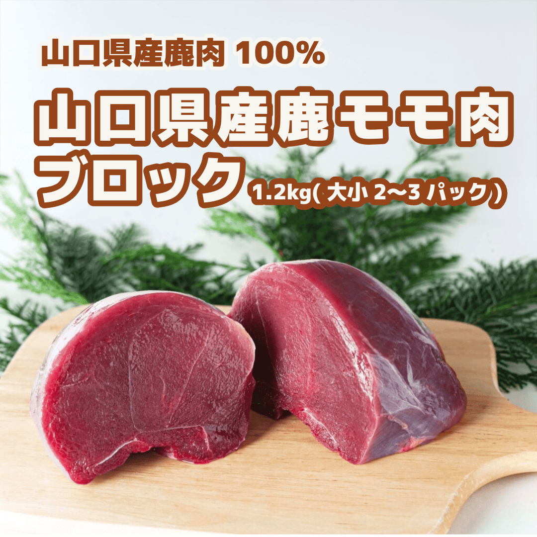国産ジビエ鹿モモ肉ブロック 高タンパク低脂質 ロースト・カツレツ用