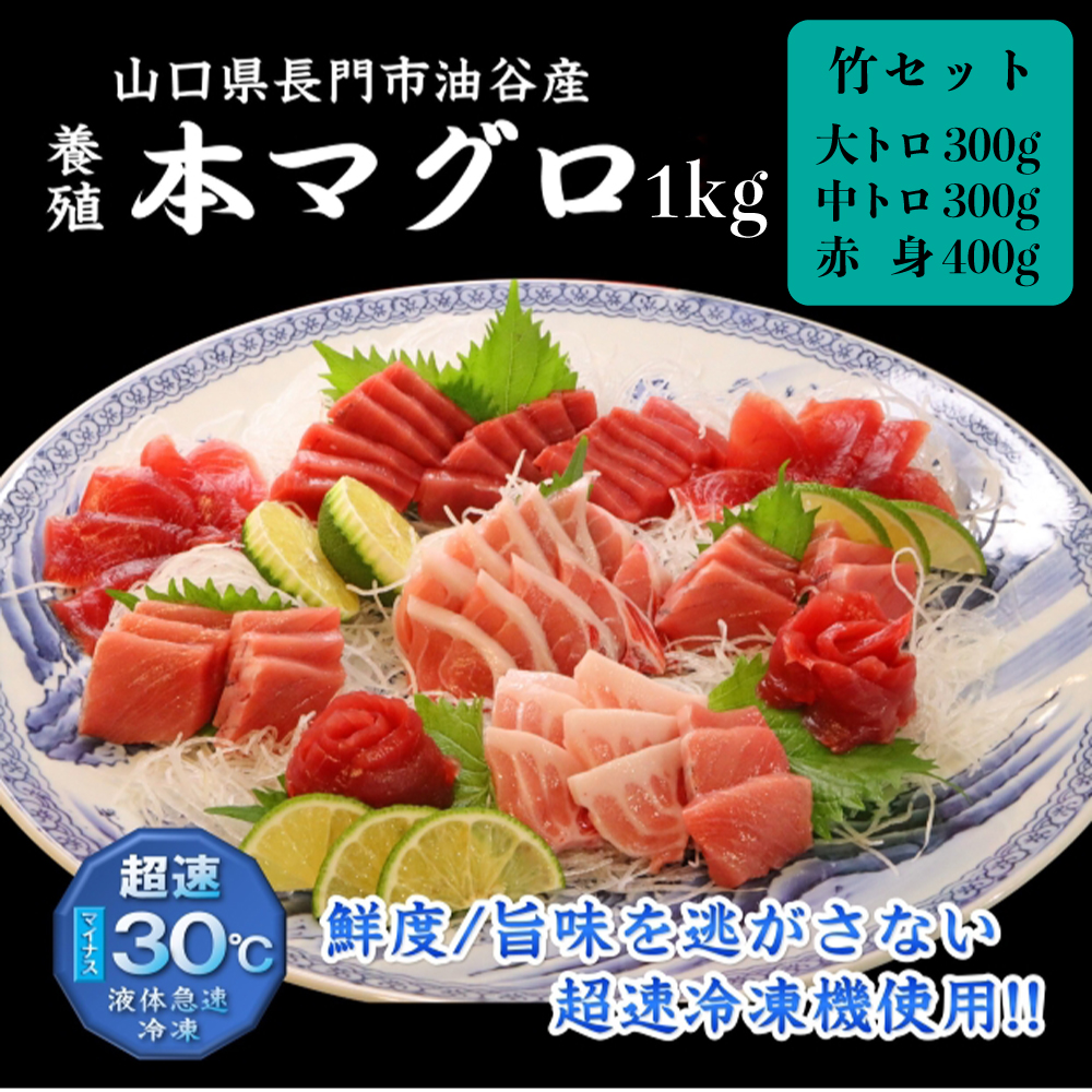 【まとめ割25%OFF】養殖本まぐろ お得な福袋 竹 セット 約1kg(約10人前) 大トロ300g・中トロ300g・赤身400g(刺身用さく／冷凍)