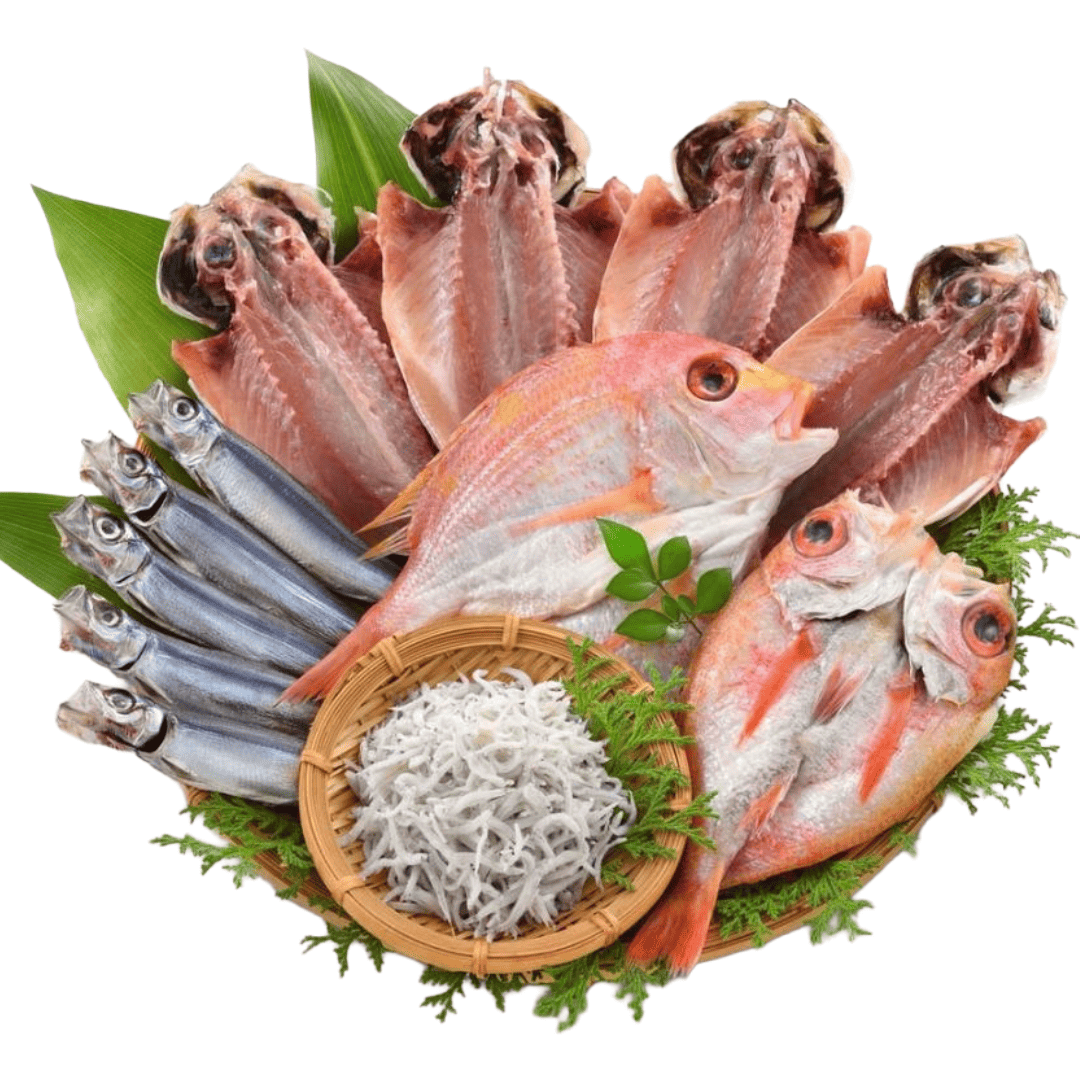 国近商店 干物セット 長門の海の幸お取り寄せ｜あじ・連子鯛・のどぐろ開き・釜揚げちりめん・うるめ丸干し【冷凍便／贈答可】