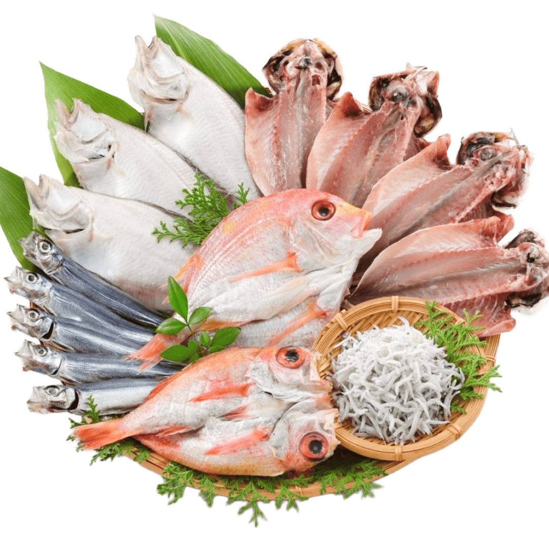 国近商店 干物セット 長門の海の幸お取り寄せ｜あじ・連子鯛・かれい一汐・のどぐろ開き・釜揚げちりめん・うるめ丸干し【冷凍便／贈答可】