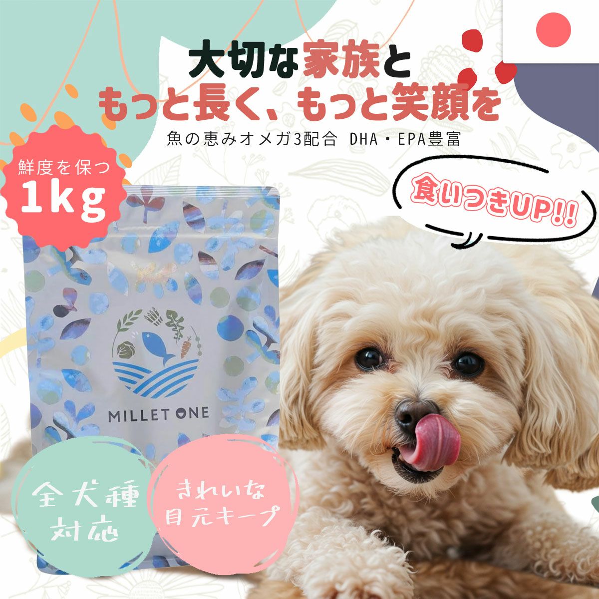 ミレワン シニア 1kg (7歳～) 国産ドッグフード 無添加 ノンオイル