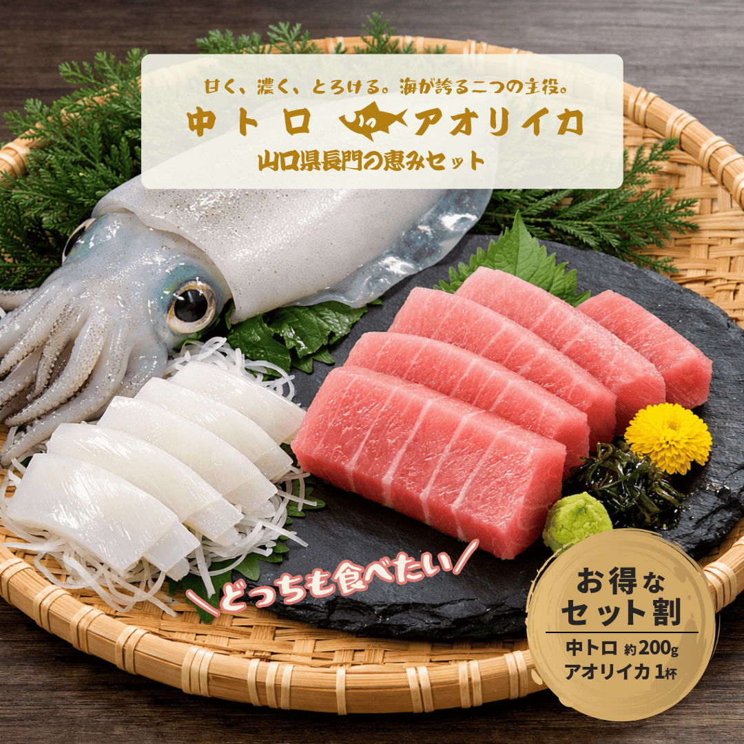 本マグロ中トロとアオリイカの山口県長門の恵みセット