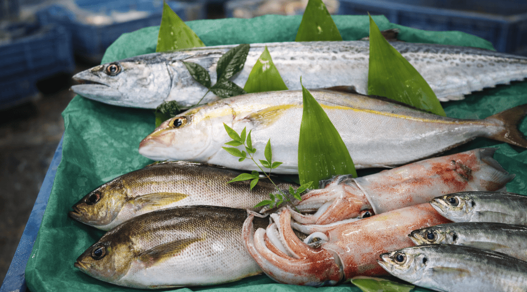 仙崎港で水揚げされた旬の魚の盛り合わせ