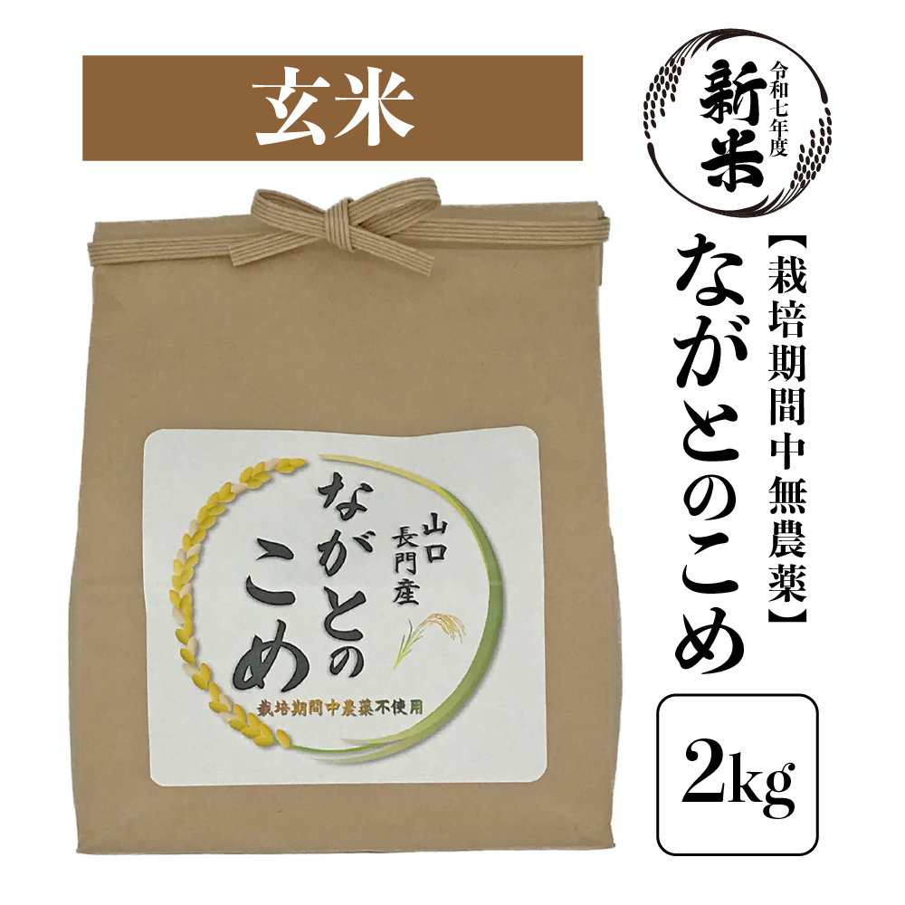 【順次発送】新米 令和7年産「ながとのこめ」栽培期間中農薬不使用《玄米》2kg(1kg×2袋)【山口県長門市産】