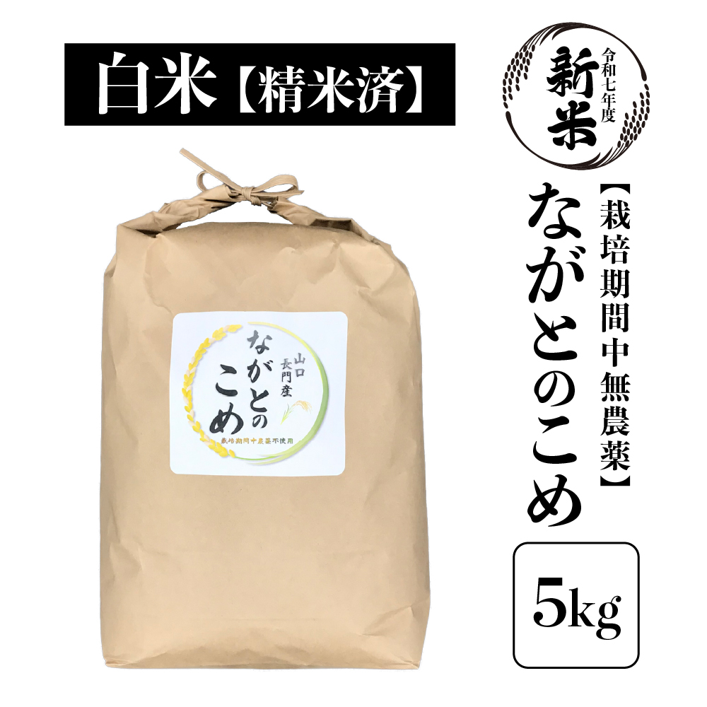 【随時発送】新米 令和7年産「ながとのこめ」栽培期間中農薬不使用《精米後 順次発送》5kg【山口県長門市産】