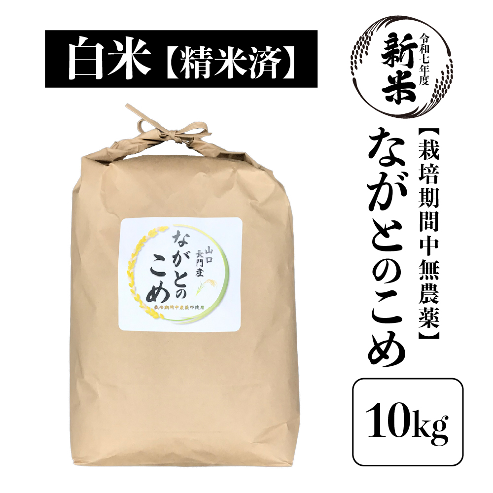 【随時発送】新米 令和7年産「ながとのこめ」栽培期間中農薬不使用《精米後 順次発送》10kg(5kg×2袋)【山口県長門市産】