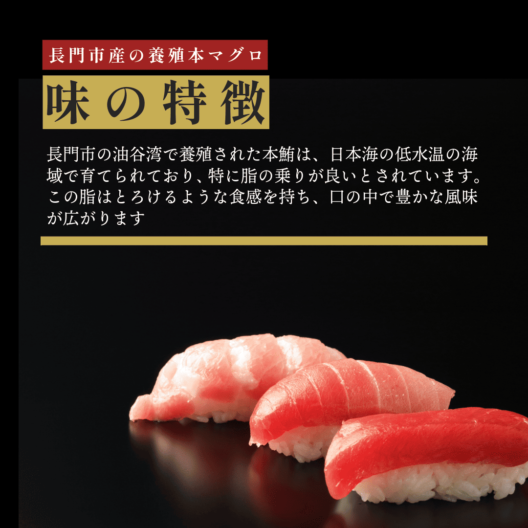 養殖本まぐろ 中トロ赤身約1000gセット(約10人前) 中トロ約500g