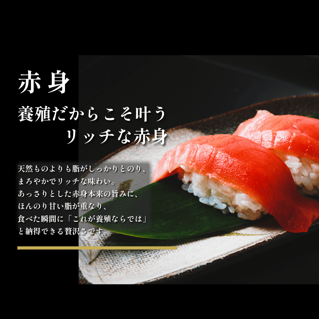 赤刺身品 養殖本まぐろ 中トロ赤身約1000gセット(約10人前) 中トロ約500g