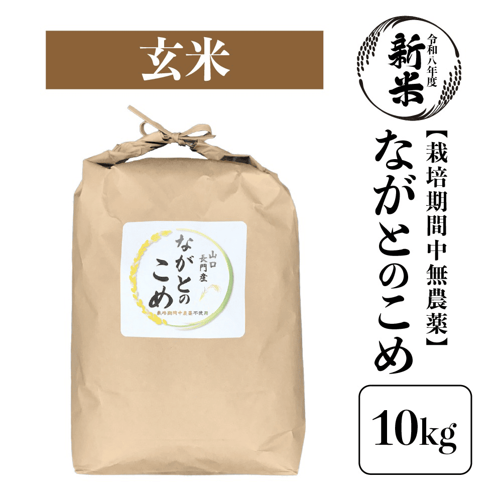 【順次発送】新米 令和8年産「ながとのこめ」栽培期間中農薬不使用 《玄米》10kg【山口県長門市産】