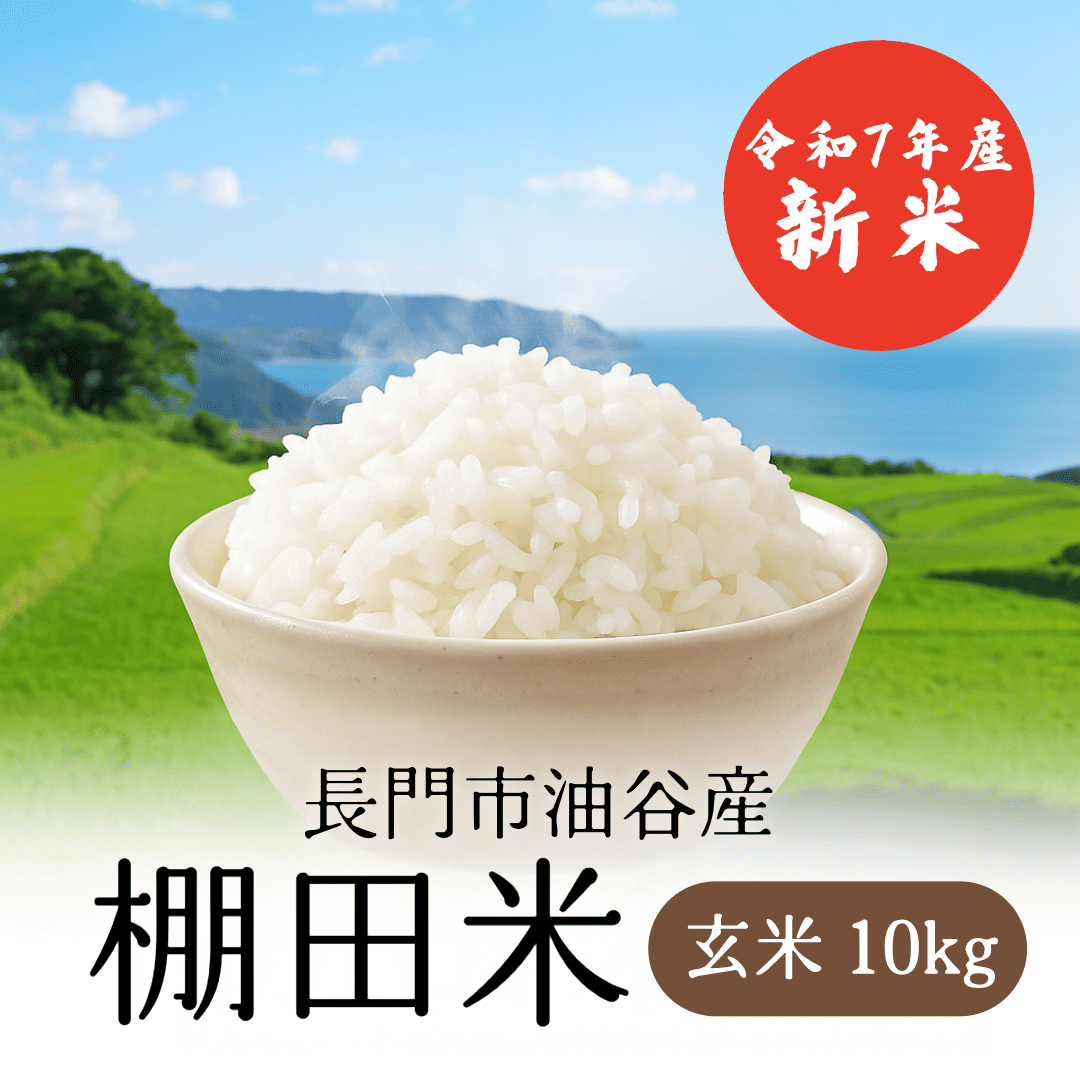 【順次発送】令和7年産 長門市油谷産 棚田米 玄米 10kg【新米】