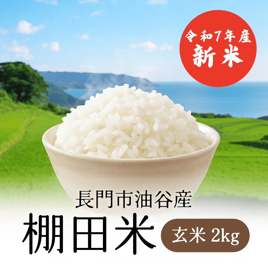 【順次発送】令和7年産 長門市油谷産 棚田米 玄米 2kg【新米】