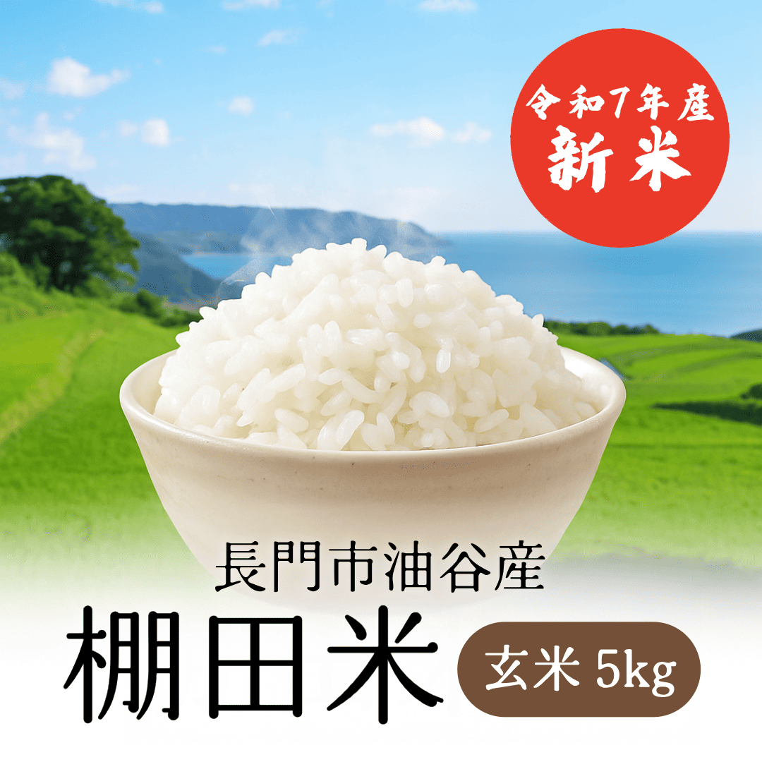 【順次発送】令和7年産 長門市油谷産 棚田米 玄米 5kg【新米】