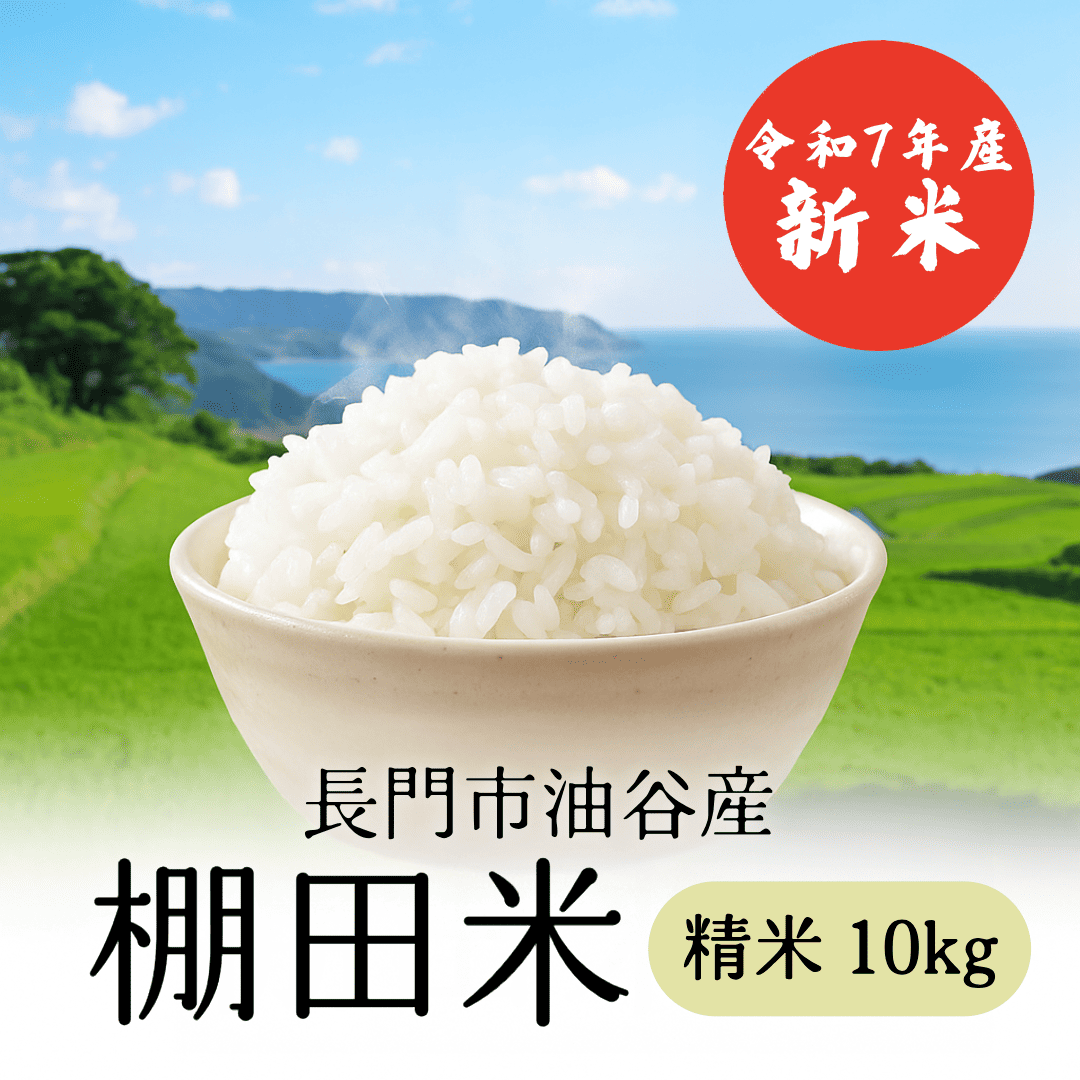 【随時発送】令和7年産 長門市油谷産 棚田米 精米 10kg【新米】