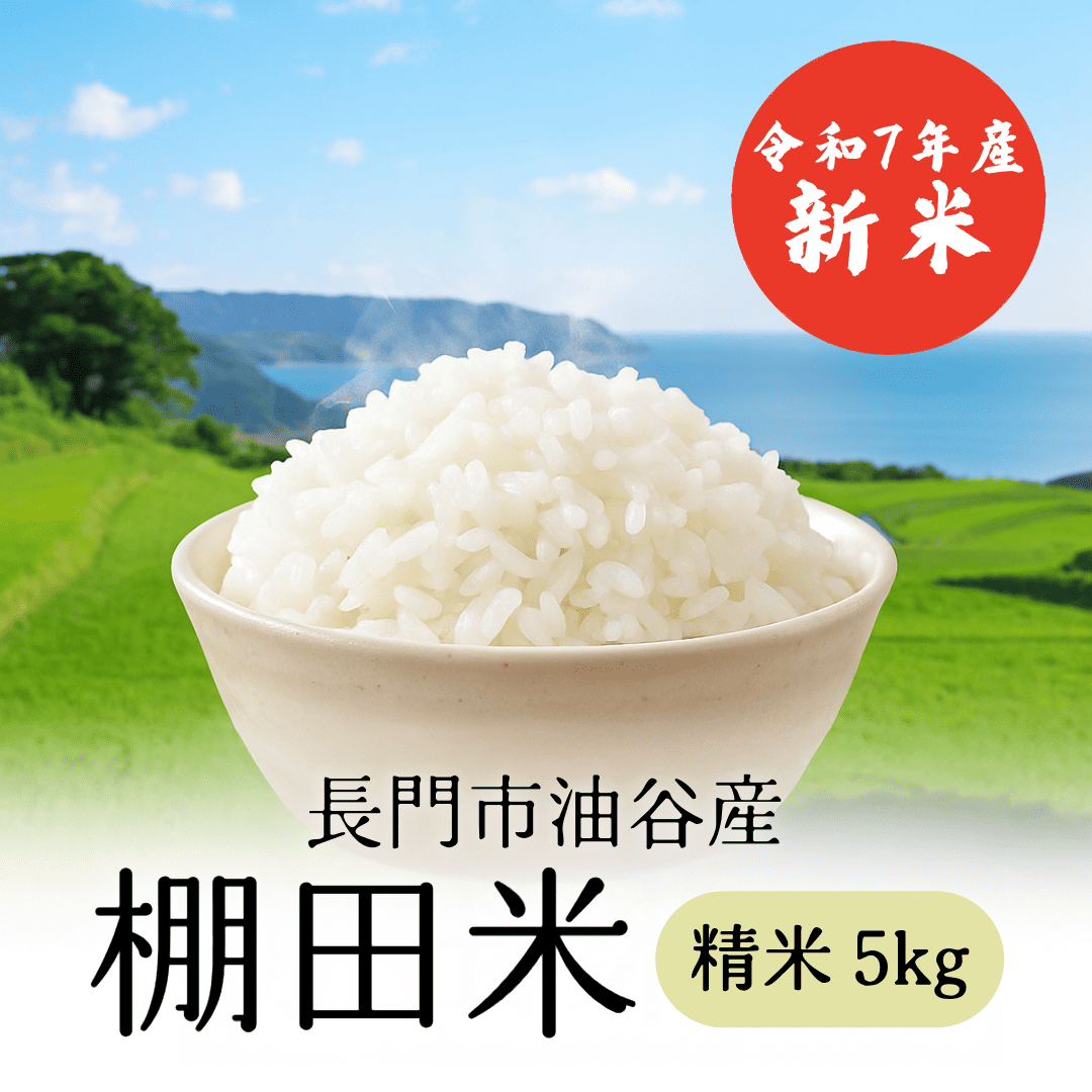 【随時発送】令和7年産 長門市油谷産 棚田米 精米 5kg【新米】