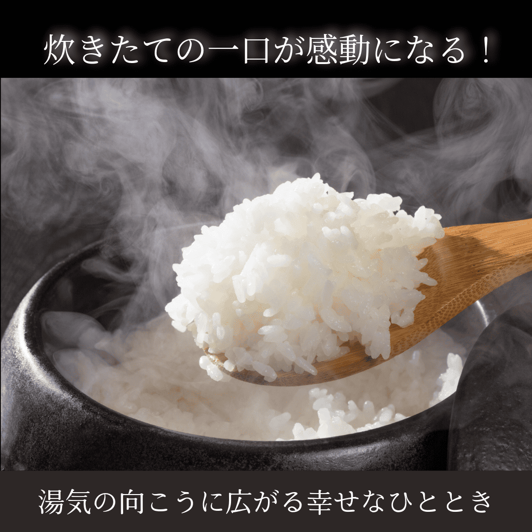 順次発送】新米 令和7年産「ながとのこめ」栽培期間中農薬不使用