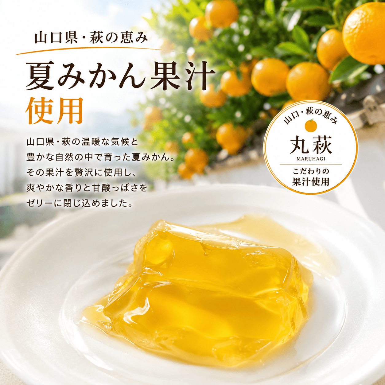 夏季限定】山口県産 夏みかんジュエリー 6個入｜夏みかん果汁使用